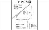 「イカダでのヤエン釣りで春の大型アオリイカを狙う【三重】1kg超え本命と対面成功」の画像3