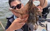 「一色魚市場に並ぶ魚介類から【7月の奥伊勢湾の釣りもの】を考察してみた」の画像1