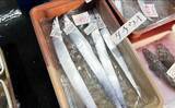 「一色魚市場に並ぶ魚介類から【7月の奥伊勢湾の釣りもの】を考察してみた」の画像10
