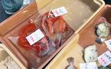「一色魚市場に並ぶ魚介類から【7月の奥伊勢湾の釣りもの】を考察してみた」の画像2