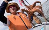 「一色魚市場に並ぶ魚介類から【7月の奥伊勢湾の釣りもの】を考察してみた」の画像4