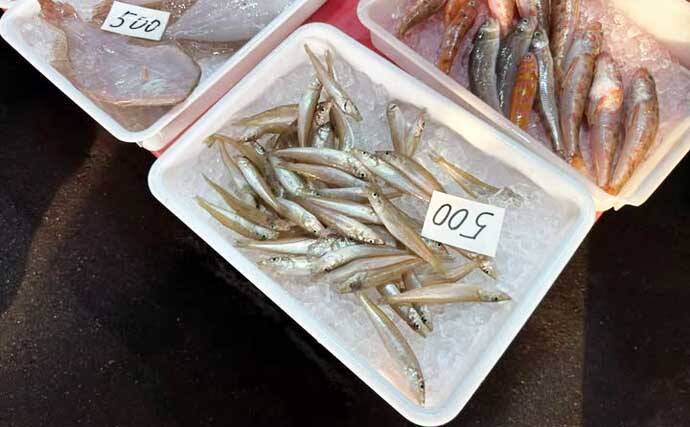 一色魚市場に並ぶ魚介類から【7月の奥伊勢湾の釣りもの】を考察してみた