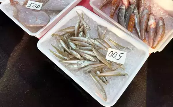 「一色魚市場に並ぶ魚介類から【7月の奥伊勢湾の釣りもの】を考察してみた」の画像