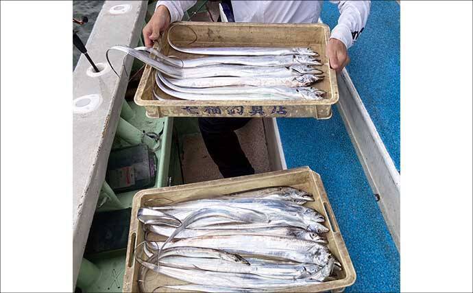 一色魚市場に並ぶ魚介類から【7月の奥伊勢湾の釣りもの】を考察してみた