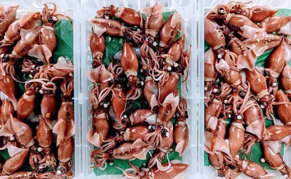 「プロが教える【ホタルイカ】の目利き　透明感あっても生食は危険？」の画像