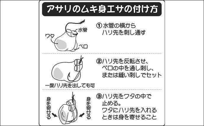 船カワハギ釣り入門 初心者でも出来る誘い アワセ方を徹底解説 22年6月14日 エキサイトニュース 5 6