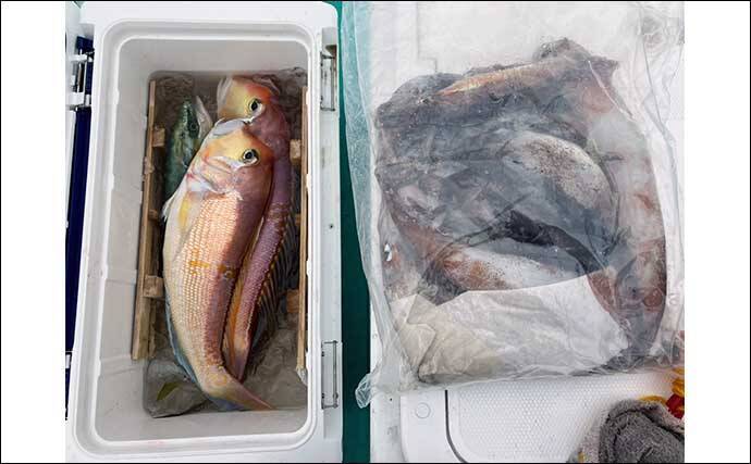 能登半島地震後の富山湾でスルメイカ・鬼カサゴ・甘鯛のリレー釣行【強神丸】