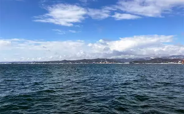 「能登半島地震後の富山湾でスルメイカ・鬼カサゴ・甘鯛のリレー釣行【強神丸】」の画像