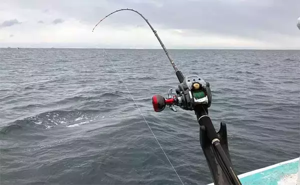 「能登半島地震後の富山湾でスルメイカ・鬼カサゴ・甘鯛のリレー釣行【強神丸】」の画像