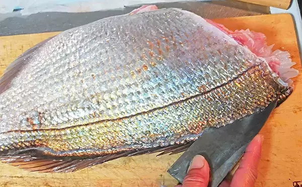 「釣魚で作る「上品な味わい」レシピ：紅葉ダイの若狭焼き　優しいだしが決め手」の画像