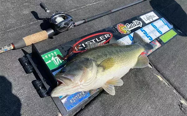 「「ロッド選びの肝は弾性にあり？」 バス釣りにおける高弾性／低弾性ロッドの違いと使い分け方」の画像