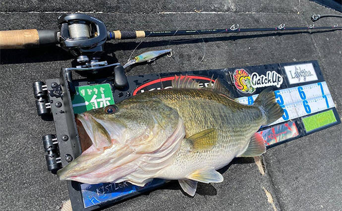 「ロッド選びの肝は弾性にあり？」 バス釣りにおける高弾性／低弾性ロッドの違いと使い分け方