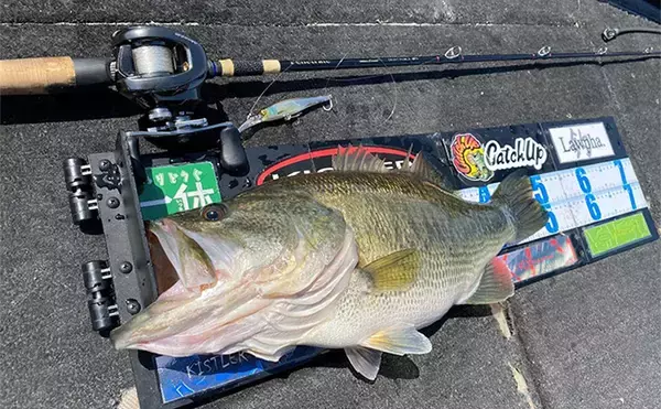 「「ロッド選びの肝は弾性にあり？」 バス釣りにおける高弾性／低弾性ロッドの違いと使い分け方」の画像