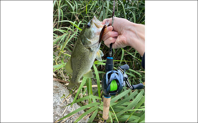「ロッド選びの肝は弾性にあり？」 バス釣りにおける高弾性／低弾性ロッドの違いと使い分け方
