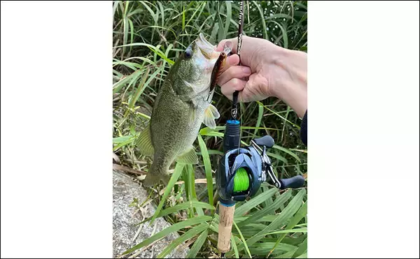 「「ロッド選びの肝は弾性にあり？」 バス釣りにおける高弾性／低弾性ロッドの違いと使い分け方」の画像