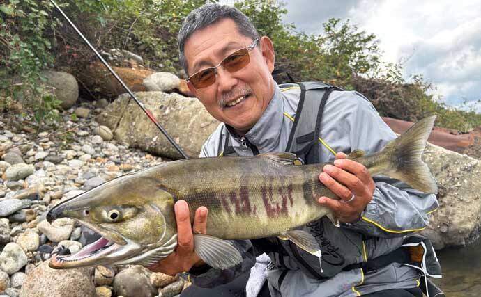 シロサケ有効利用調査に参加してみた【新潟・荒川】釣り人4人で8尾の本命を手中