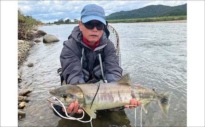 シロサケ有効利用調査に参加してみた【新潟・荒川】釣り人4人で8尾の本命を手中