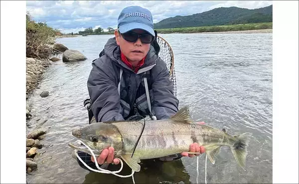 「シロサケ有効利用調査に参加してみた【新潟・荒川】釣り人4人で8尾の本命を手中」の画像