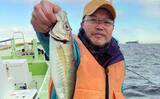 「東京湾のショートアジ釣りで40cm級含み船中トップ17尾キャッチ【神奈川】速潮攻略がカギ」の画像1