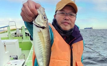 東京湾のショートアジ釣りで40cm級含み船中トップ17尾キャッチ【神奈川】速潮攻略がカギ