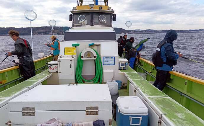 東京湾のショートアジ釣りで40cm級含み船中トップ17尾キャッチ【神奈川】速潮攻略がカギ