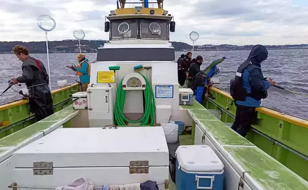 「東京湾のショートアジ釣りで40cm級含み船中トップ17尾キャッチ【神奈川】速潮攻略がカギ」の画像