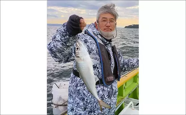 「東京湾のショートアジ釣りで40cm級含み船中トップ17尾キャッチ【神奈川】速潮攻略がカギ」の画像
