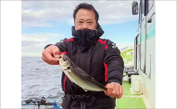 「東京湾のショートアジ釣りで40cm級含み船中トップ17尾キャッチ【神奈川】速潮攻略がカギ」の画像