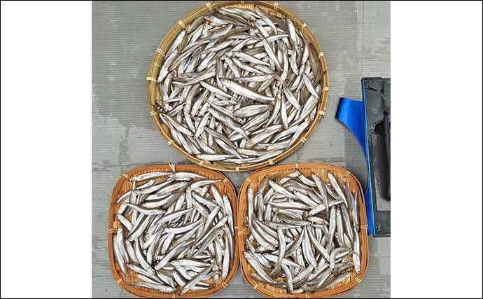 「寒さ知らずのドーム船で束釣り連発！」諏訪湖ワカサギ483匹の快釣【長野】