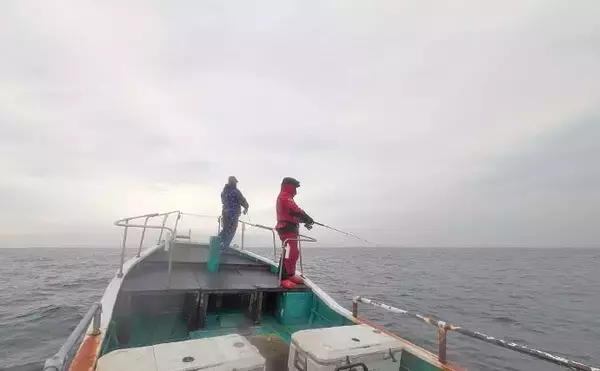 「「雨と強風の中でサワラ3kg！」一瞬のボイルを射止めた石鏡沖キャスティングゲーム【三重】」の画像