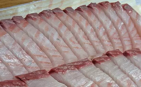 「「雨と強風の中でサワラ3kg！」一瞬のボイルを射止めた石鏡沖キャスティングゲーム【三重】」の画像