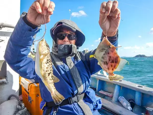 「船カワハギ釣りで本命５匹【愛知・石川丸】好ゲストに美味なフグも顔出し」の画像