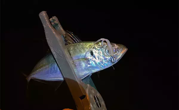 「「5年前と何が変わったの？」 アジングタックルの進化について考えてみた」の画像