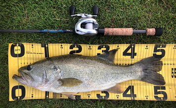 バスフィッシングにおける【ロッドのブランクスルー構造のメリット・デメリット】