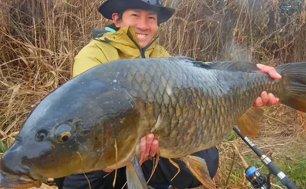 荒川温排水で10kgオーバー大型コイ堂々浮上！【埼玉】ボラのいぬ間に釣るべし？