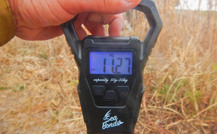 荒川温排水で10kgオーバー大型コイ堂々浮上！【埼玉】ボラのいぬ間に釣るべし？