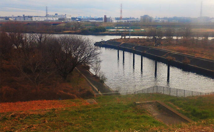 荒川温排水で10kgオーバー大型コイ堂々浮上！【埼玉】ボラのいぬ間に釣るべし？