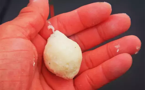 「荒川温排水で10kgオーバー大型コイ堂々浮上！【埼玉】ボラのいぬ間に釣るべし？」の画像