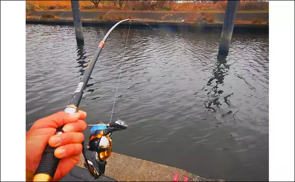 「荒川温排水で10kgオーバー大型コイ堂々浮上！【埼玉】ボラのいぬ間に釣るべし？」の画像