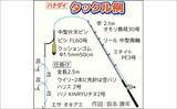 「「トップ規定数50尾到達！」片貝沖のハナダイ釣りで良型主体に入れ食いタイム満喫【千葉】」の画像2