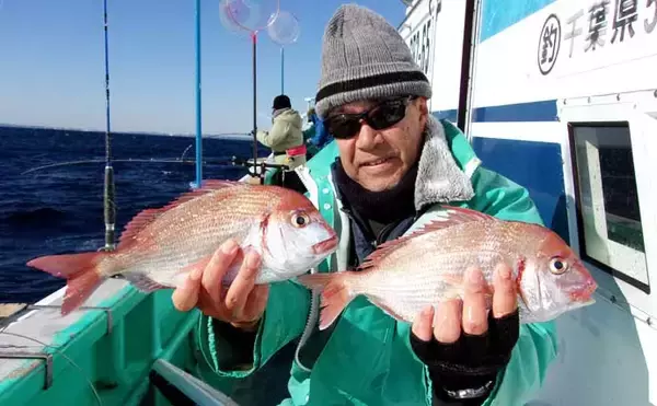 「「トップ規定数50尾到達！」片貝沖のハナダイ釣りで良型主体に入れ食いタイム満喫【千葉】」の画像