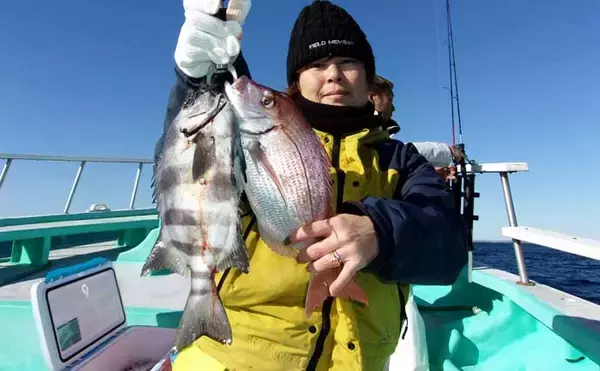 「「トップ規定数50尾到達！」片貝沖のハナダイ釣りで良型主体に入れ食いタイム満喫【千葉】」の画像