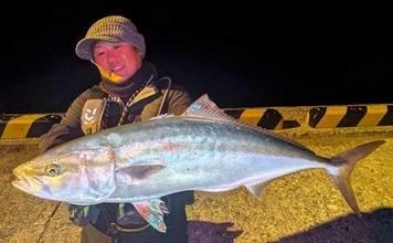 夜の堤防ブリゲームで6尾キャッチ【熊本・茂串漁港】シンペンただ巻きに好反応