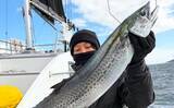 「【沖のルアー釣果速報】ジギングで極太サワラ確保！ブリ・ヒラメ交じりで土産充実（愛知）」の画像1