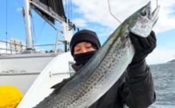 【沖のルアー釣果速報】ジギングで極太サワラ確保！ブリ・ヒラメ交じりで土産充実（愛知）