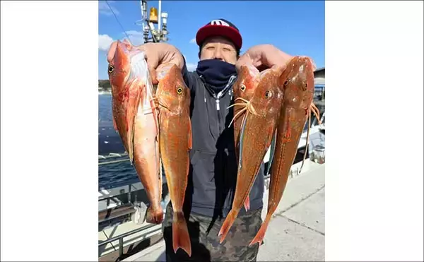 「【沖のルアー釣果速報】ジギングで極太サワラ確保！ブリ・ヒラメ交じりで土産充実（愛知）」の画像