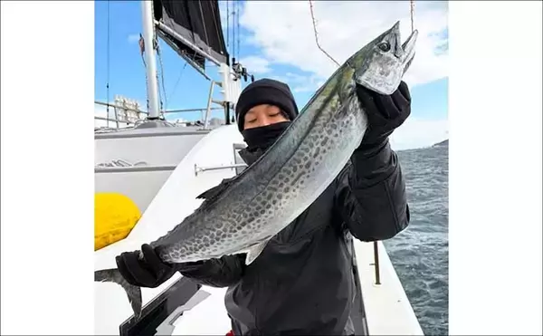 「【沖のルアー釣果速報】ジギングで極太サワラ確保！ブリ・ヒラメ交じりで土産充実（愛知）」の画像