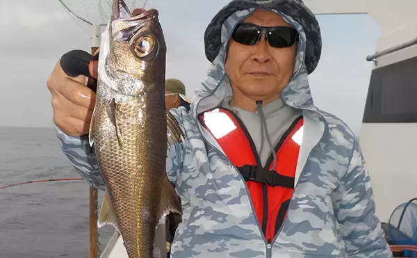 「相模湾アジ五目釣りで良型アジにクロムツ【洋征丸】アジ泳がせでは7kg級大型ヒラメ！」の画像