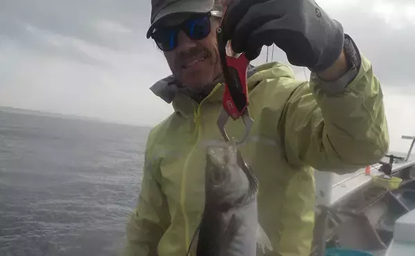 「相模湾アジ五目釣りで良型アジにクロムツ【洋征丸】アジ泳がせでは7kg級大型ヒラメ！」の画像