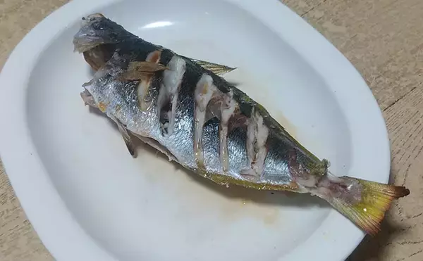 釣りの「ゲスト魚」で作るレシピ：タカベの一夜干し　冷蔵庫で干せばOK！